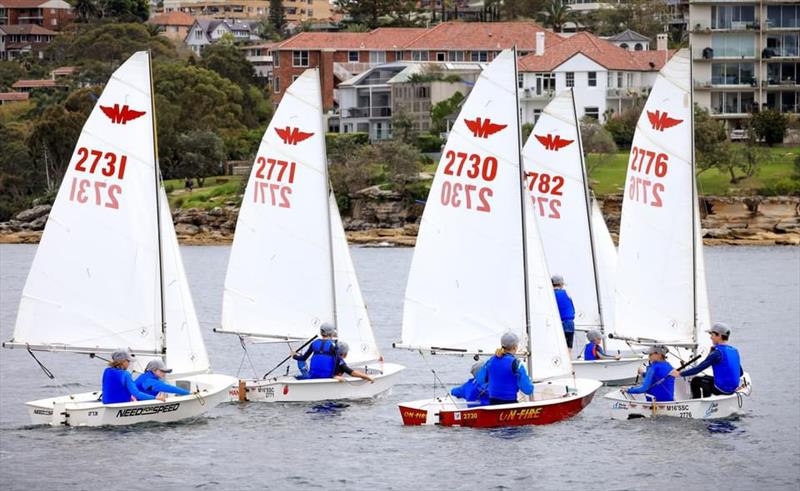 Manly Juniors at Manly 16ft Skiff Sailing Club - photo © SailMedia