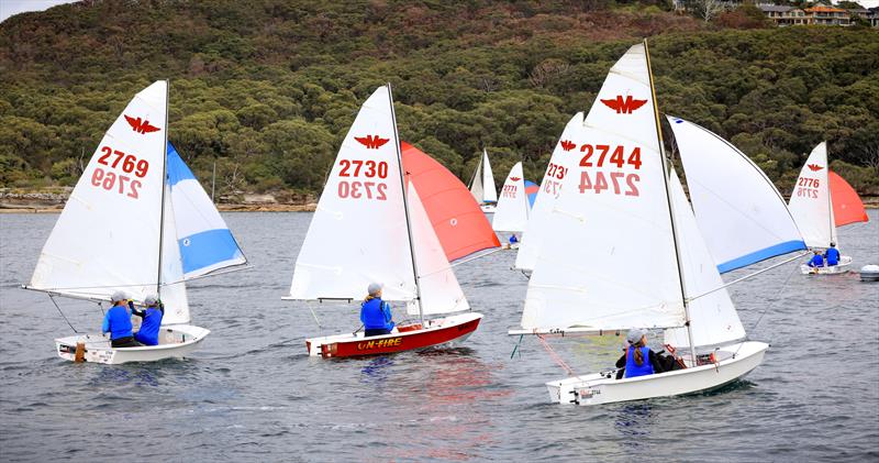 Manly Juniors at Manly 16ft Skiff Sailing Club photo copyright SailMedia taken at Manly 16ft Skiff Sailing Club and featuring the Manly Junior class