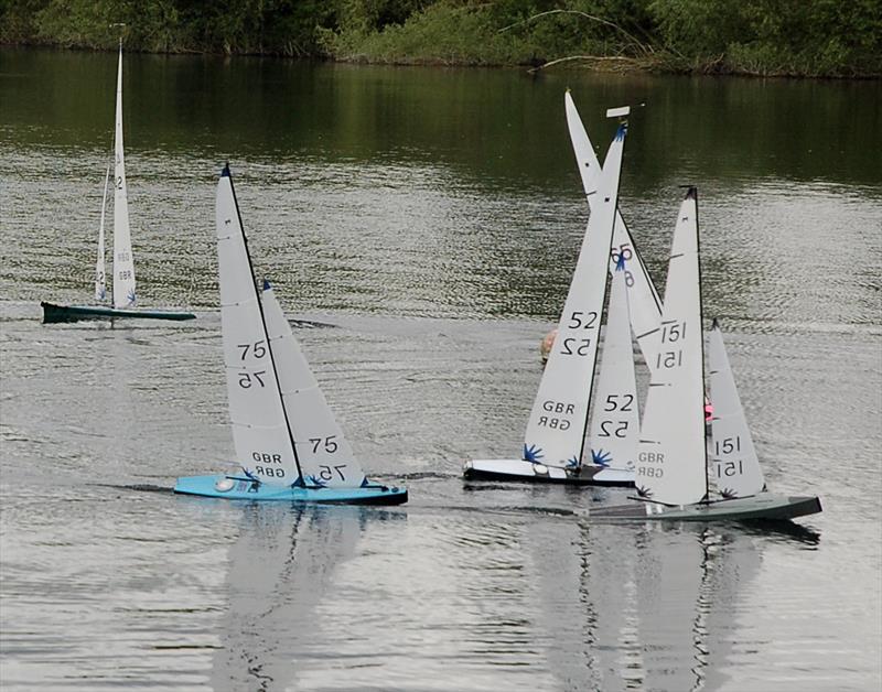 Marblehead Acorn Trophy at Guildford photo copyright Peter Dunne taken at Guildford Model Yacht Club and featuring the Marblehead class