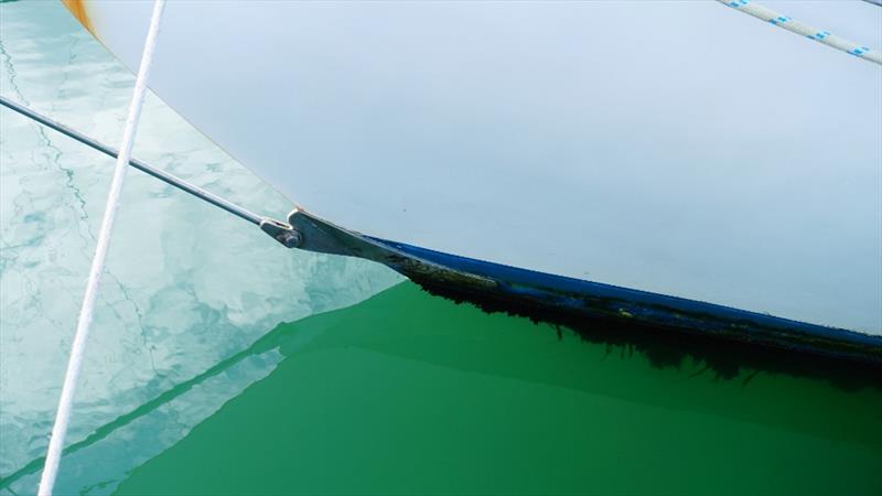 Regular hull grooming is the best way to ensure you don't carry hidden hitchhikers with you when you head off this summer  - photo © Sail-World