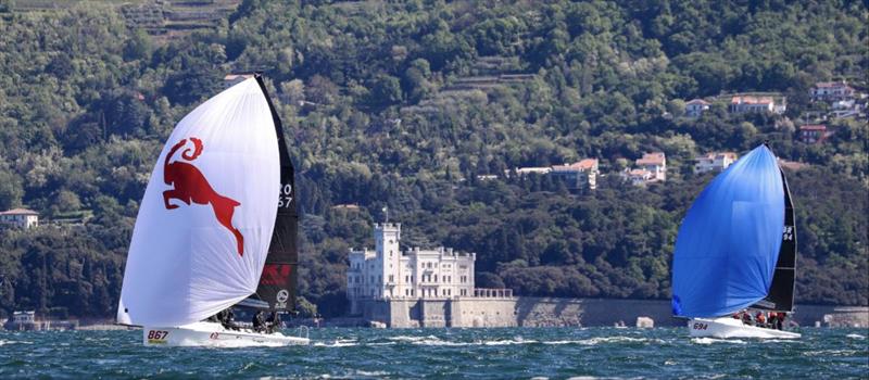 The Melges 24s racing in front of the Miramare Castle (Castello di Miramare) photo copyright YCA | Giovanni Tesei taken at Yacht Club Adriaco and featuring the Melges 24 class