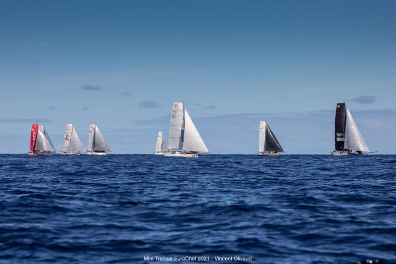 Mini Transat EuroChef 2021 Leg 2 - photo © Vincent Olivaud