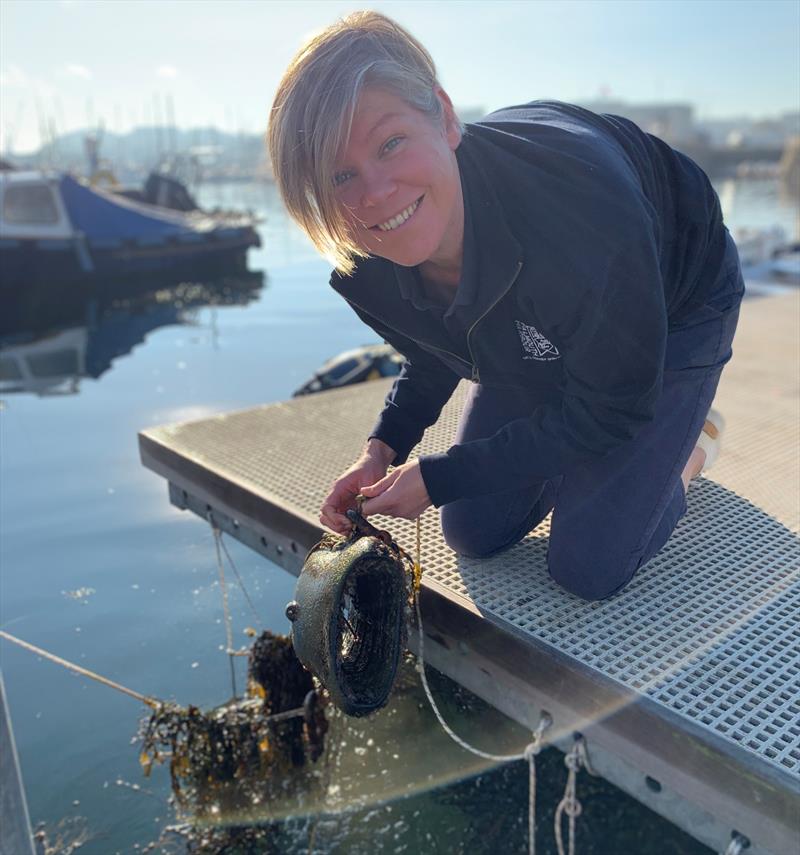 Environment Manager Vicki Spooner cites the Falmouth Harbour team's efforts across the board as the winning combination for Most Sustainable Medium Sized Organisation photo copyright Falmouth Harbour taken at 