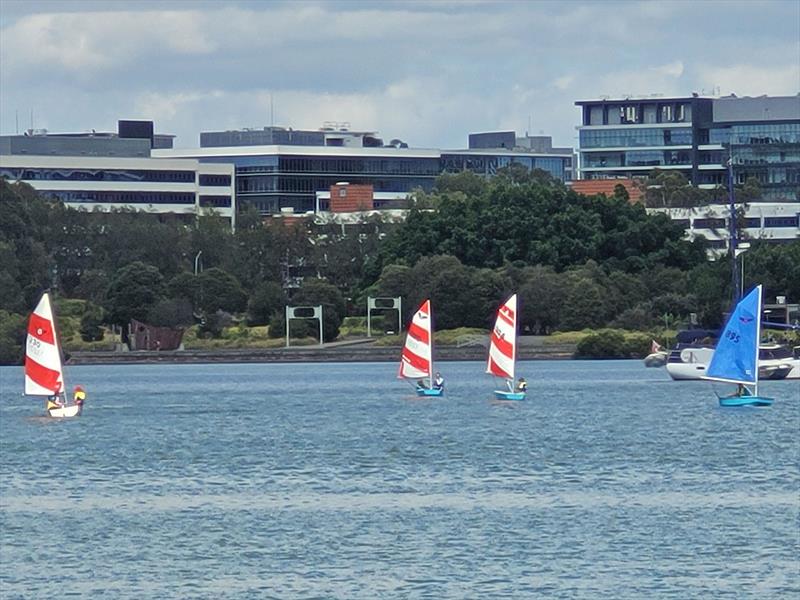 Some of the Firebug fleet - photo © Concord and Ryde SC