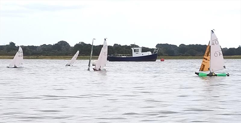 Waldringfield Bottle Boat Championship - Again Bernard Kufluk (60) gets the best start Race 8 with Robert Norris going well further out in the tide photo copyright Linda Price taken at Waldringfield Sailing Club and featuring the Model Yachting class