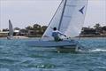 58th Arrow and 52nd Mosquito Australian Championships 2024/25 © Altona Yacht Club