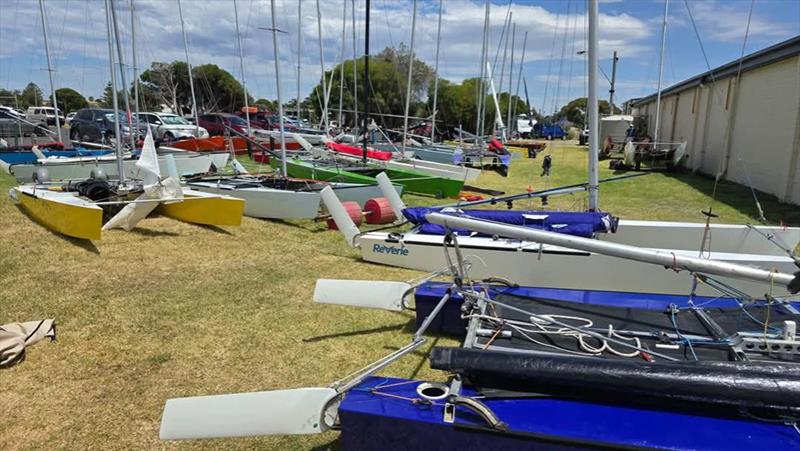 58th Arrow and 52nd Mosquito Australian Championships 2024/25 - photo © Altona Yacht Club