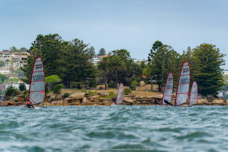 Upwind leg near Shark Island - ACO 14th MUSTO Skiff World Championship 2025, Sydney, Australia - photo © Down Under Sail