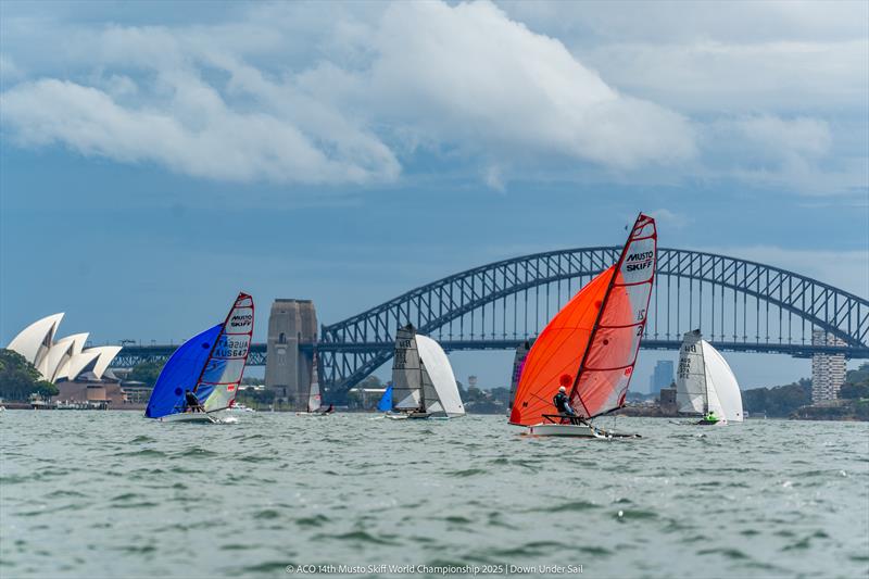 ACO 14th Musto Skiff World Championship 2025, Sydney, Australia Day 5 - photo © Tidal Media Australia for Down Under Sail