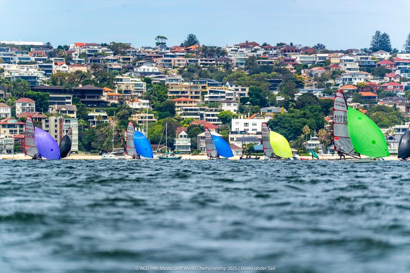 ACO 14th Musto Skiff World Championship 2025, Sydney, Australia Day 5 photo copyright Tidal Media Australia for Down Under Sail taken at Woollahra Sailing Club and featuring the Musto Skiff class