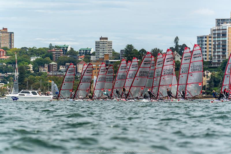 ACO 14th Musto Skiff World Championship 2025, Sydney, Australia Day 5 - photo © Tidal Media Australia for Down Under Sail