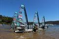 © Ronstan Junior Foiling Cup