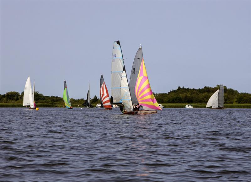 Norfolk Punt Championships 2024 at Barton Broad photo copyright Robin Myerscough taken at Norfolk Punt Club and featuring the Norfolk Punt class