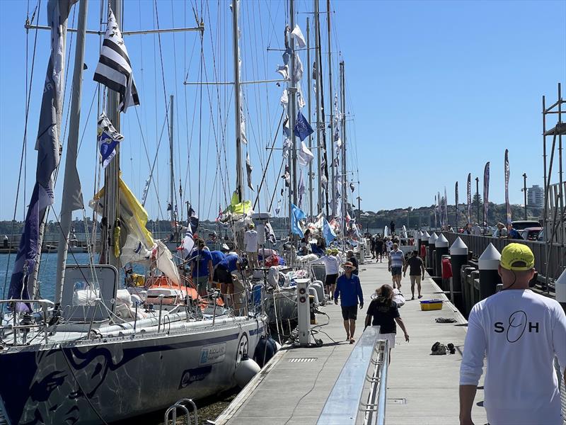 The pontoons of Jellicoe Harbour buzzed with anticipation, nerves and excitement on the #OGR2023 start day - photo © DD / OGR2023