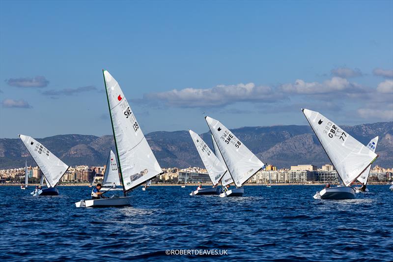 Race 4 - OK Dinghy European Championship 2024, day 4 photo copyright Robert Deaves / www.robertdeaves.uk taken at Real Club Náutico de Palma and featuring the OK class