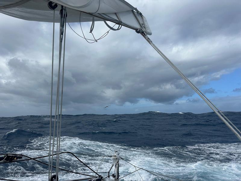 Giancarlo Pedote in the Vendée Globe - Onboard image, week 6 photo copyright Giancarlo Pedote taken at  and featuring the IMOCA class