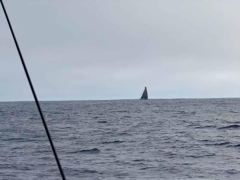 Clarisse Crémer in the Vendée Globe - Week 8 - photo © Clarisse Crémer / L'Occitane Sailing Team 