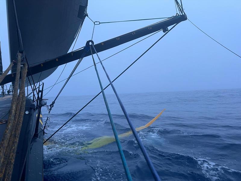 Clarisse Crémer in the Vendée Globe - Week 8 - photo © Clarisse Crémer / L'Occitane Sailing Team 