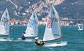 29th Ora Cup Ora Optimist Regatta © Elena Giolai