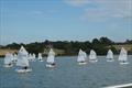 Royal Harwich YC host local Beastie event © Hazel Mayhew