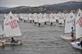 35th Palamós Optimist Trophy 2025 © Alfred Farré