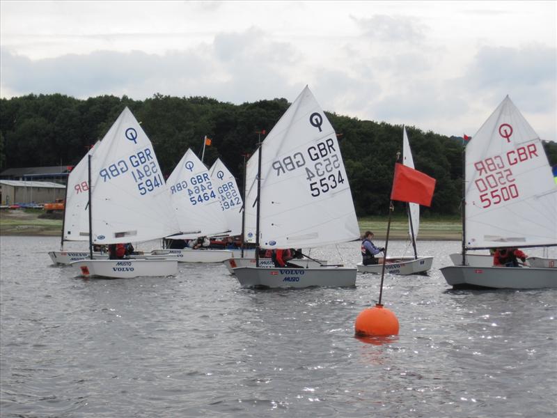 Midland Optimist Team Series Open at Ogston Sailing Club