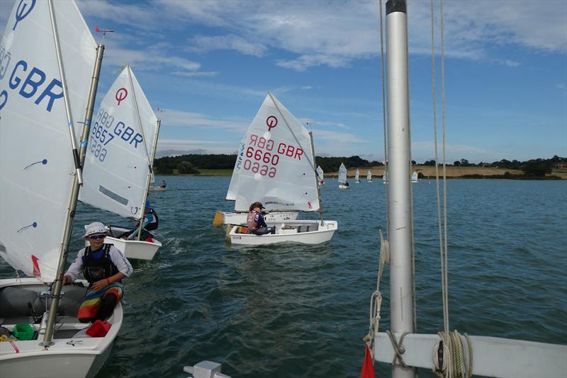 Royal Harwich YC host local Beastie event photo copyright Hazel Mayhew taken at Royal Harwich Yacht Club and featuring the Optimist class