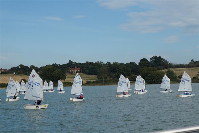 Royal Harwich YC host local Beastie event photo copyright Hazel Mayhew taken at Royal Harwich Yacht Club and featuring the Optimist class