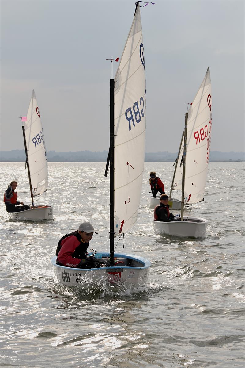 Blackwater Optimist Open photo copyright Wren Carver taken at Blackwater Sailing Club and featuring the Optimist class