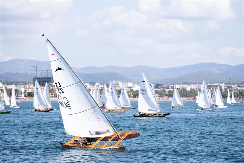 More than 300 Patí de Vela catamarans confirmed for America's Cup Regatta - photo © Ian Roman / America's Cup