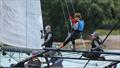 Bay of Islands Sailing Week 2025: The sportsboat Animal Biscuits has been converted to a foiler © Jacob Fewtrell Media