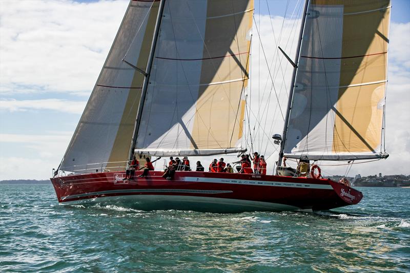 Steinlager 2 - 2024 PIC Coastal Classic - October 25, 2024 photo copyright Richard Gladwell - Sail-World.com/nz taken at Wakatere Boating Club and featuring the PHRF class