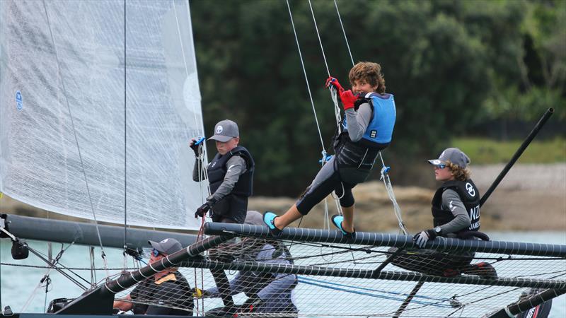 Bay of Islands Sailing Week 2025: The sportsboat Animal Biscuits has been converted to a foiler photo copyright Jacob Fewtrell Media taken at Bay of Islands Yacht Club and featuring the PHRF class