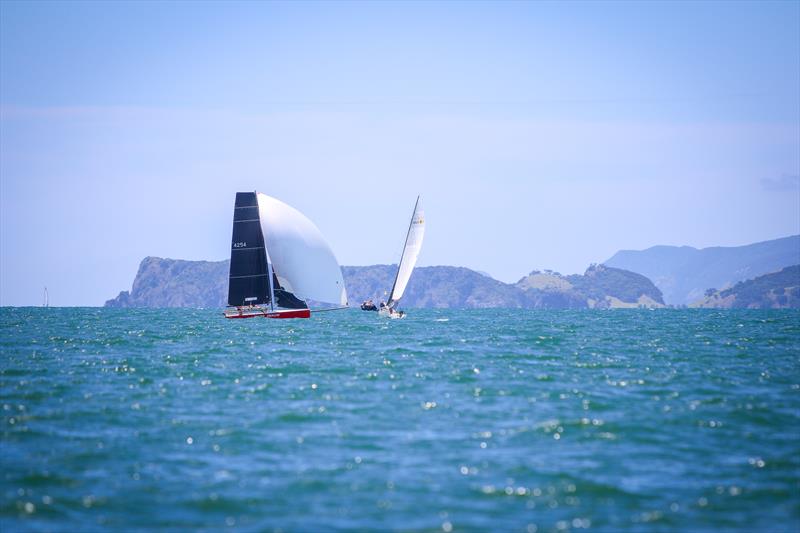 Angry Dragon - Day 2 - Bay of Islands Sailing Week 2025 - January 23, 2025  - photo © Jacob Fewtrell Media