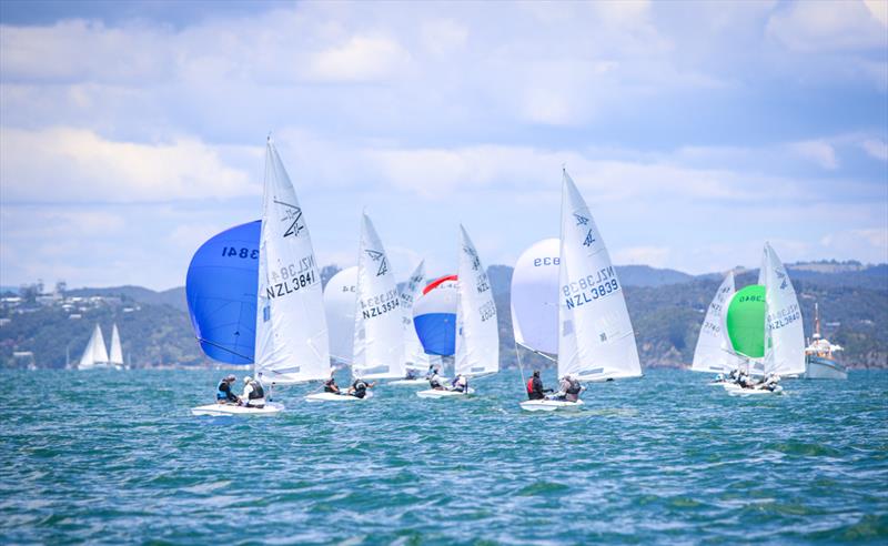 Flying Fifteens - Day 3 - Bay of Islands Sailing Week - January 25, 2025 - photo © Jacob Fewtrell Media