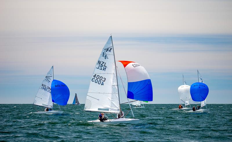 Flying Fifteens - Day 3 - Bay of Islands Sailing Week - January 25, 2025 photo copyright Jacob Fewtrell Media taken at Bay of Islands Yacht Club and featuring the PHRF class