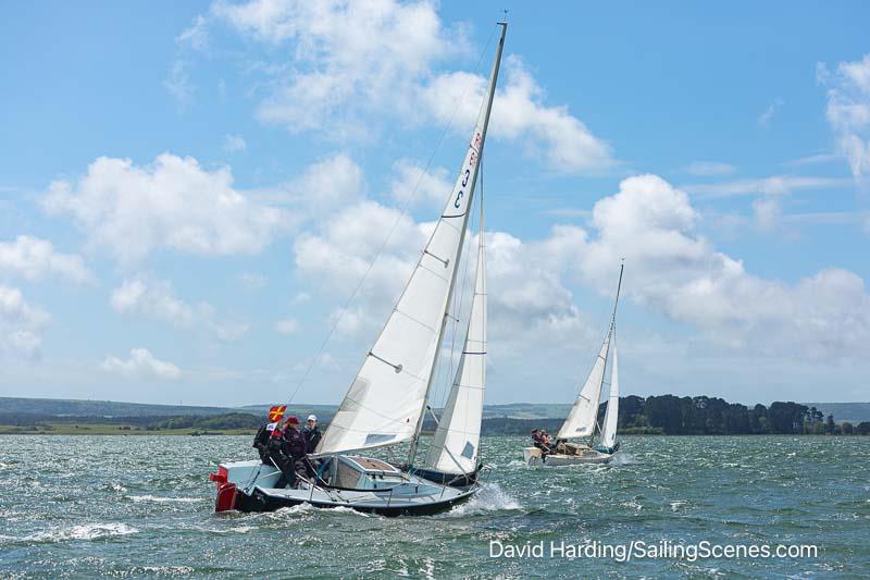 2024 International Paint Poole Regatta Day 2 photo copyright David Harding / www.sailingscenes.com taken at Parkstone Yacht Club and featuring the R19 class