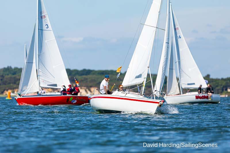 2024 International Paint Poole Regatta Day 1 photo copyright David Harding / www.sailingscenes.com taken at Parkstone Yacht Club and featuring the R19 class