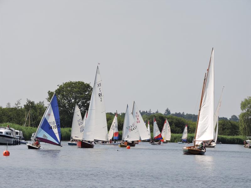 Horning Sailing Club Regatta Week 2024 photo copyright Holly Hancock taken at Horning Sailing Club and featuring the Reedling class