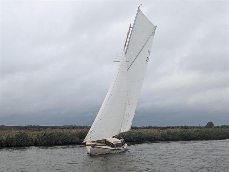 Horning Sailing Club Autumn Passage Race photo copyright Liz Goodyear taken at Horning Sailing Club and featuring the River Cruiser class