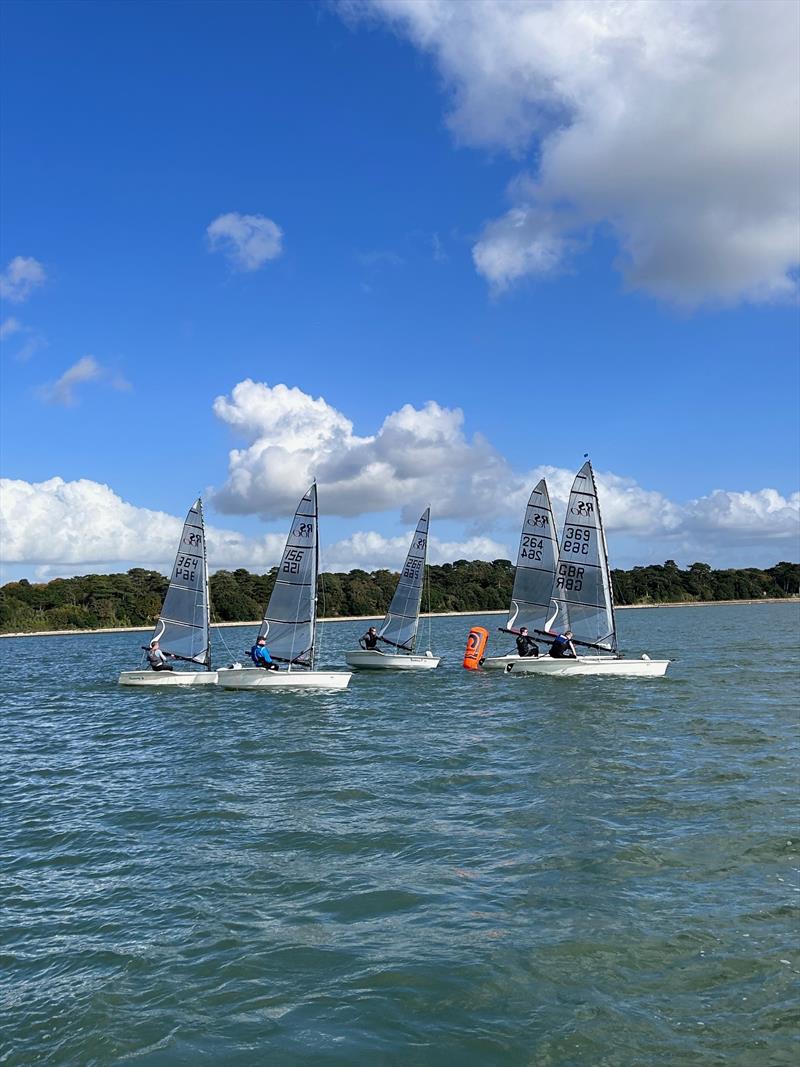 Netley RS100 Club Championship 2024 photo copyright Leighton King taken at Netley Sailing Club and featuring the RS100 class