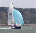'Best Dressed Boat' Will & Matt Taylor in the RS200s at the Waldringfield Easter Egg Trophy © Alexis Smith