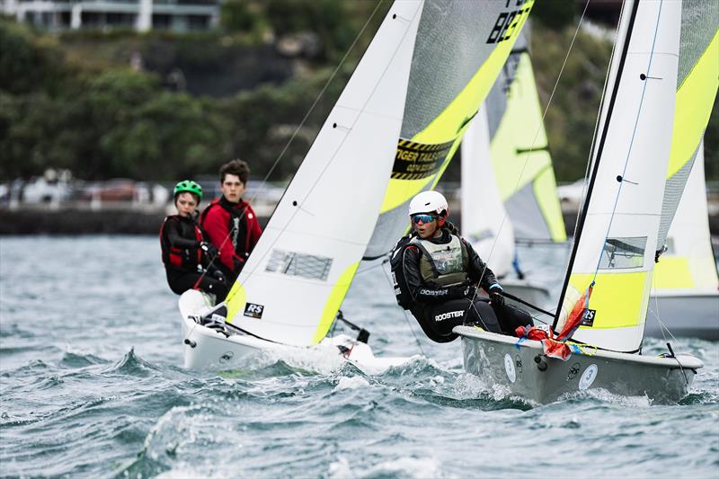 Day 1 - SailGP Inspire- RS Feva - Royal Akarana YC - Jan 17, 2025 - photo © Justin Mitchell