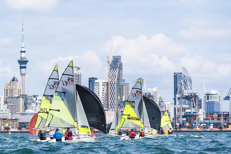 Day 2 - SailGP Inspire- RS Feva - Royal Akarana YC - Jan 18, 2025 - photo © Justin Mitchell www.justinmitchell.co.nz - Instagram: @jl_mitchell_