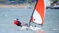 RS Tera & Feva Pacific Coast Championships 2024 © Park City Sailing Association