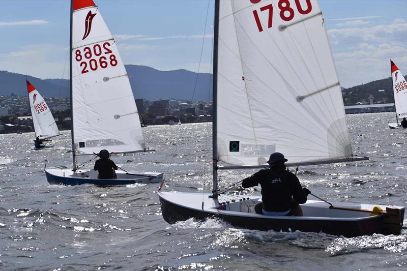 Sabre sailors in the Banjo's Shoreline Crown Series Bellerive Regatta - photo © Jane Austin