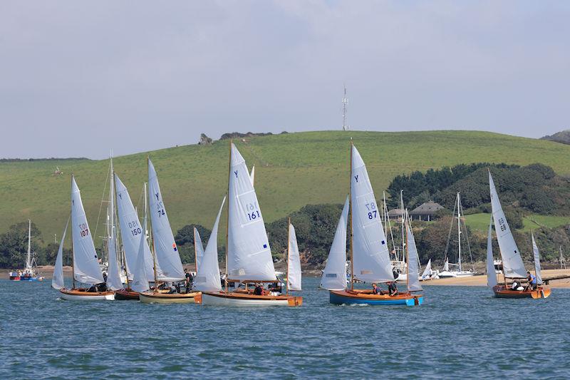 salcombe yacht club opening times