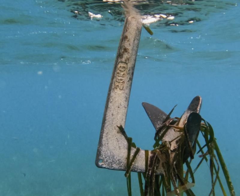 Anchoring - photo © Savvy Navvy