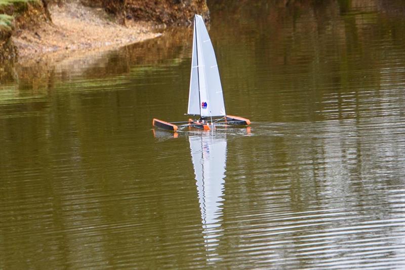 Setley Cup 2024 photo copyright Paul French taken at  and featuring the Setley Cup class