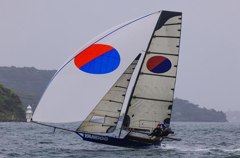 Yandoo was consistent - 2024 18ft Skiff NSW Championship photo copyright SailMedia taken at Australian 18 Footers League and featuring the 18ft Skiff class